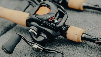 Product Review: 24 Tatula TW 100