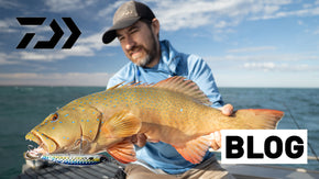 How to Catch Coral Trout on Stickbaits