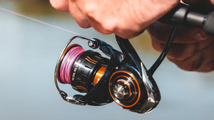 Product Review: 25 TD Sol MQ