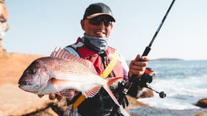 Snapper Off the Rocks on Soft Plastics