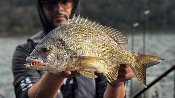 How to Catch Bream on Rocky Edges