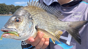 How to Catch Bream on Boat Hulls