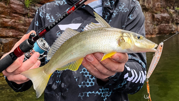 How to Catch Whiting on Surface Lures
