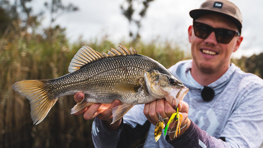 How to Fish Spinnerbaits