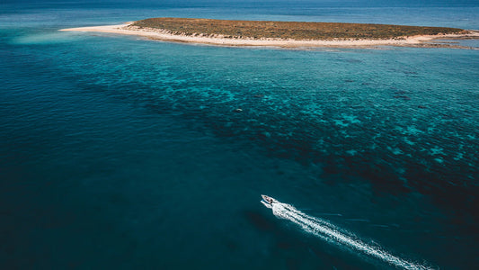 Daiwa Sustainability Project: What Happens To Your Recycled Fishing Line