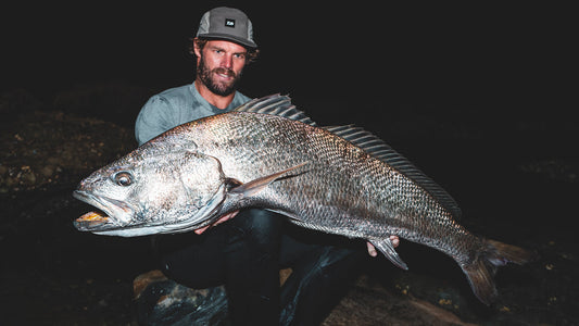 How to catch mulloway off the rocks