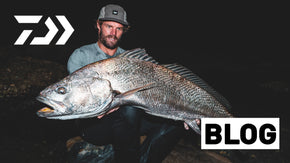 How to catch mulloway off the rocks