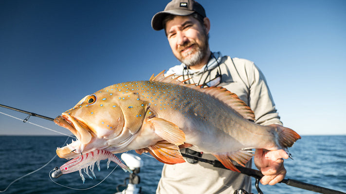 Soft plastic shapes and models