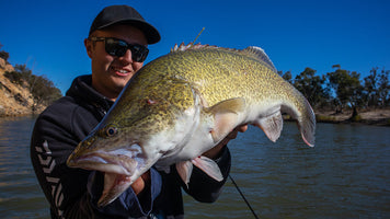 How to Collect Bait (Freshwater)