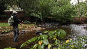 Product Review: Wilderness X