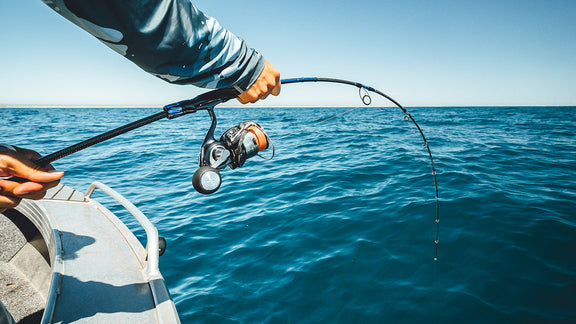 Stretch and Forgiveness in Fishing Rod and Line Systems