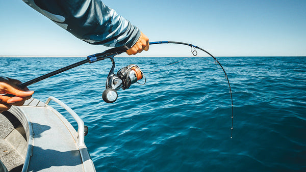 Stretch and Forgiveness in Fishing Rod and Line Systems – Daiwa Australia