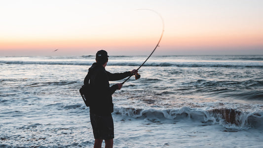 Winter beach fishing guide