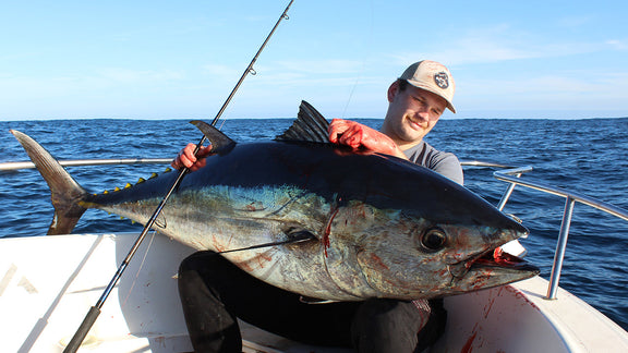 Mega Southern Bluefin Tuna