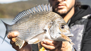 How to Catch Bream in Oyster Racks