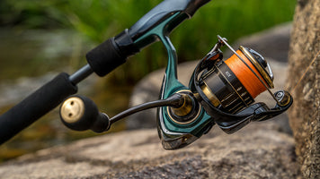 Product Review: 23 Kix