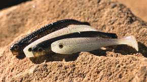 Spring Estuary Fishing with the Bait Junkie Herring