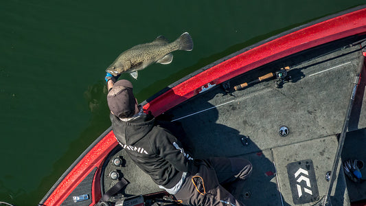 The Private Life of Cod