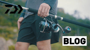 Budget Friendly Rods and Reels