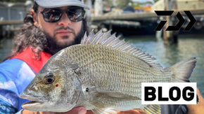 Structure Fishing Sydney Harbour