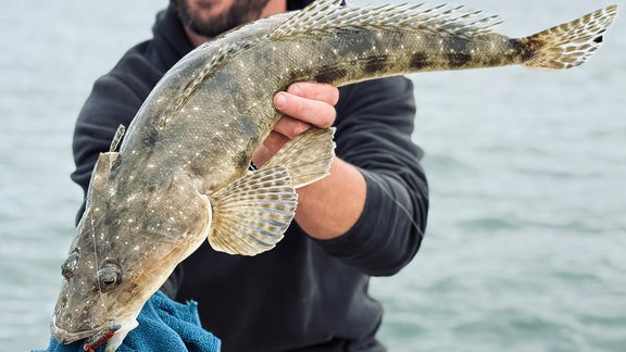 Catching Tassie Flathead on Soft Plastics