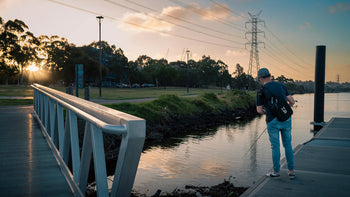 Catching Fish in the City