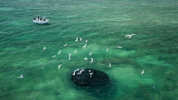 How to be a more sustainable angler