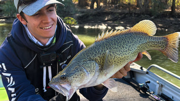 The Private Life of Cod