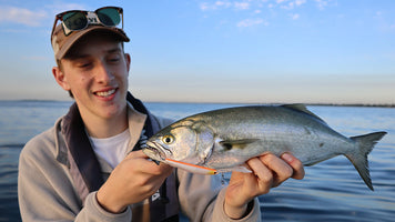 Trolling the Bay