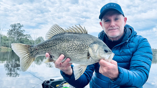 Fishing Double Clutches for Australian Bass