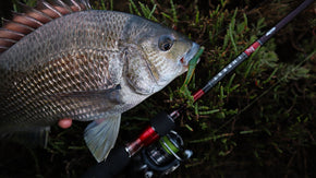 How to Slow Roll Bait Junkies for Black Bream