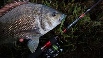 How to Slow Roll Bait Junkies for Black Bream