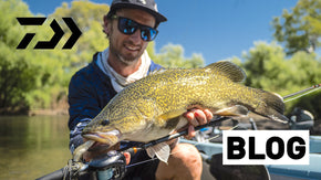 How to Catch Kingfish: a complete guide – Daiwa Australia