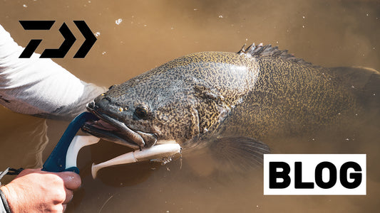 How to Swimbait For Murray Cod
