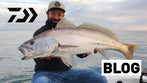 Five Tips for Mulloway