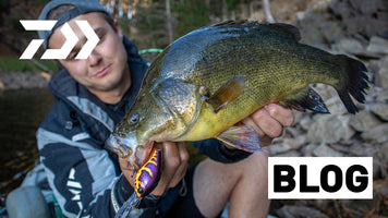 How to Catch Yellowbelly: A complete guide