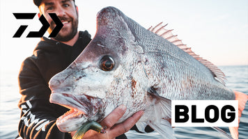How to Catch Big Snapper