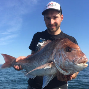 Fan gallery #3678