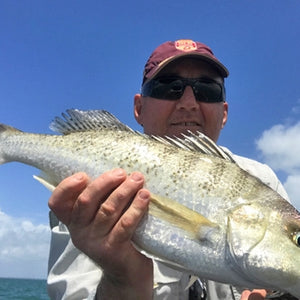 Fan gallery #284