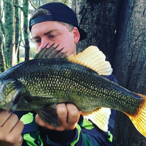 Fan gallery #3382