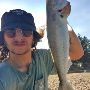Fan gallery #3806