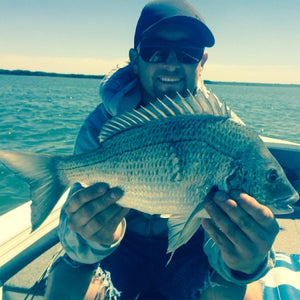 Fan gallery #3676