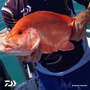 Fan gallery #231