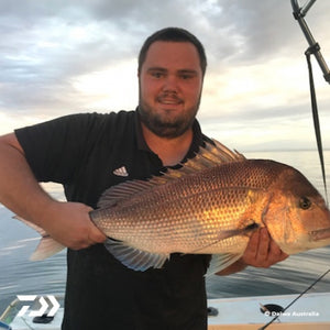 Fan gallery #308