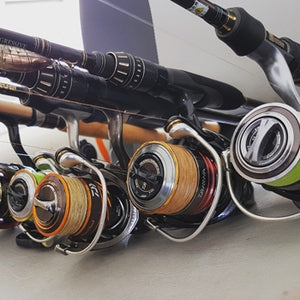 Fan gallery #3494