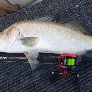 Fan gallery #124