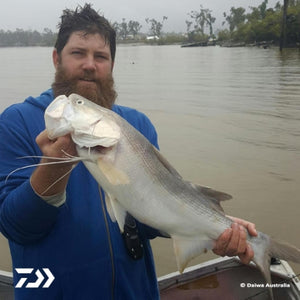 Fan gallery #3772
