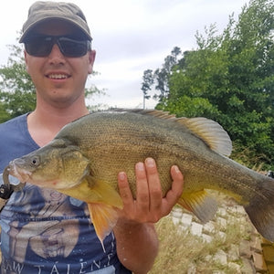 Fan gallery #252