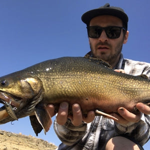 Fan gallery #106