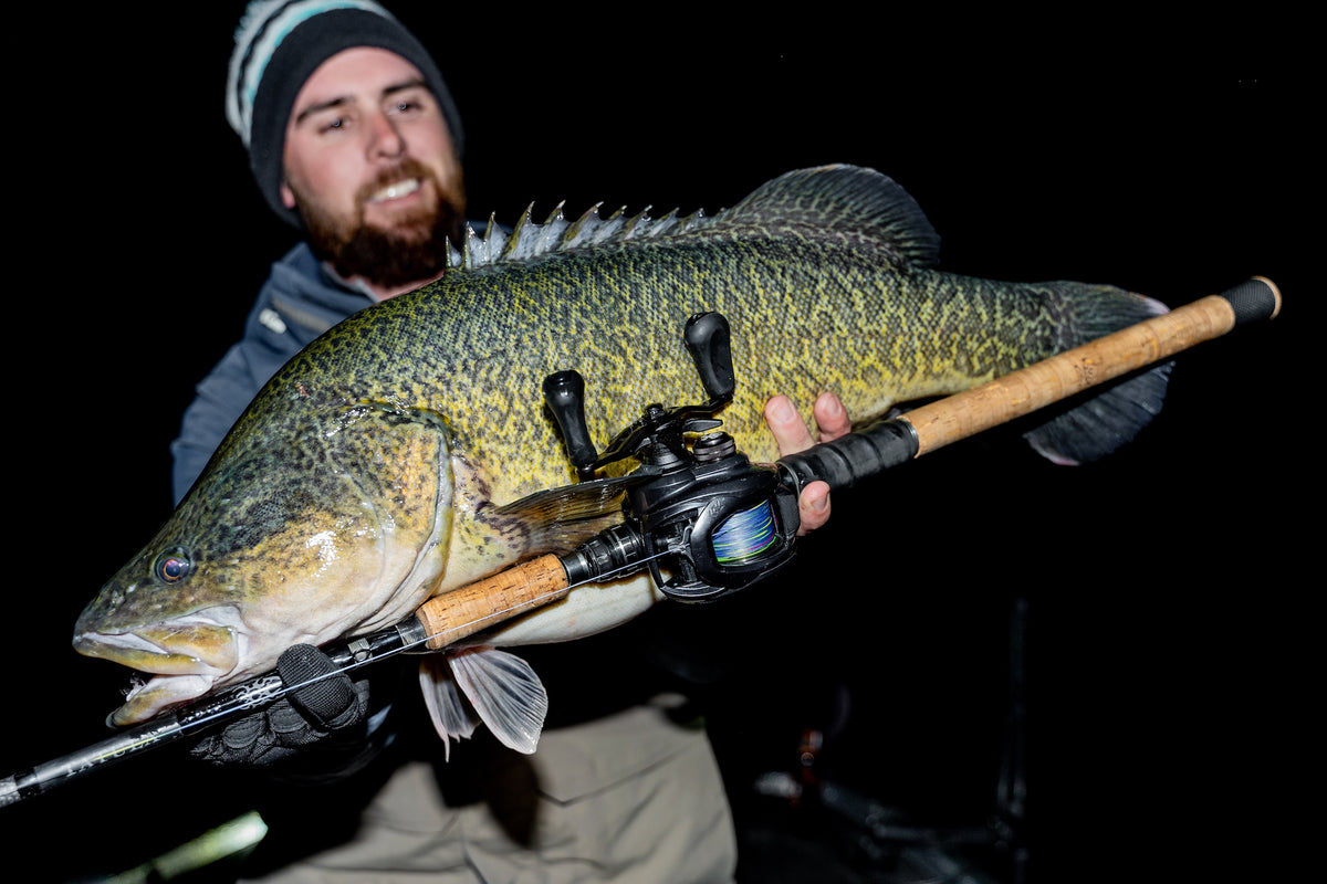 Murray Cod Tackle – Daiwa Australia